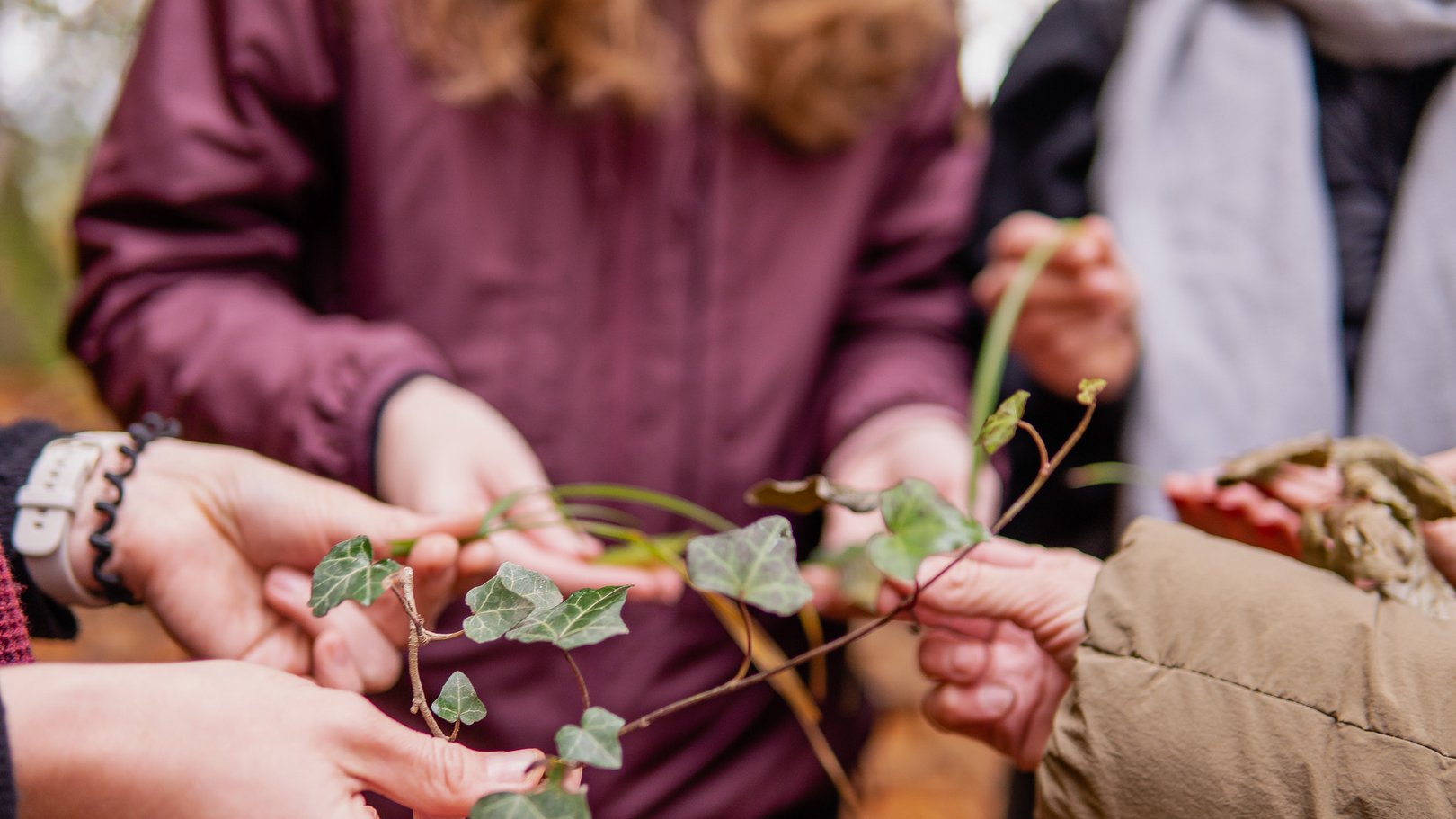Waldbaden in Bayern Waldbaden in Bayern