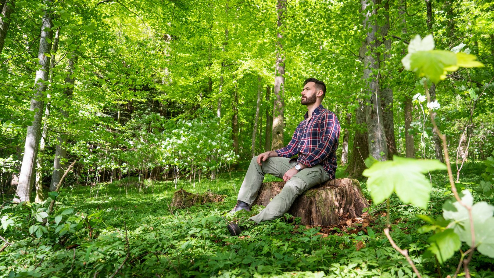 Waldbaden in Bayern Waldbaden in Bayern