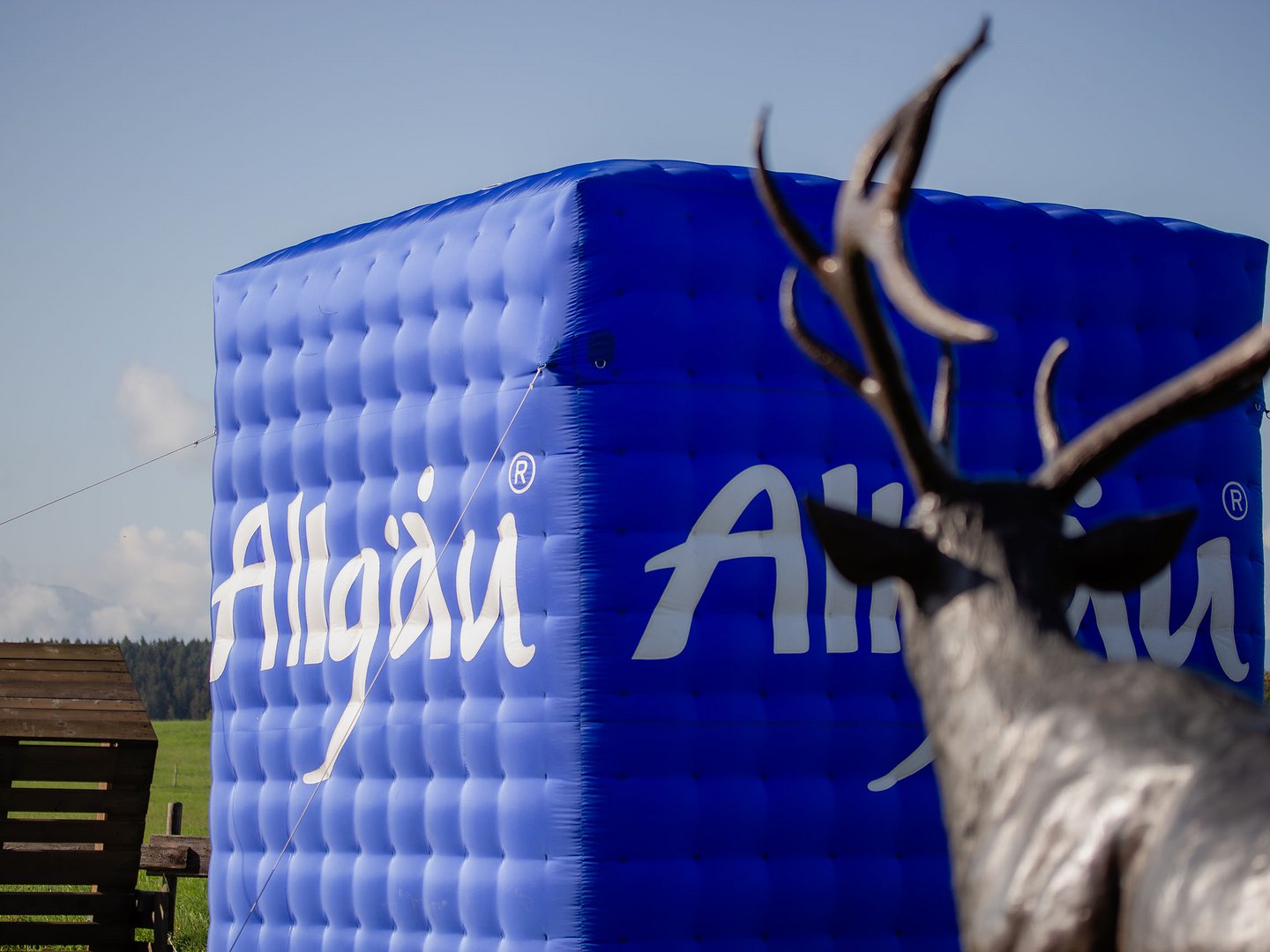 Lerch Businesswelten - Inspirationen an einem Tag Blauer Allgäu-Würfel mit Hirsch im Vordergrund