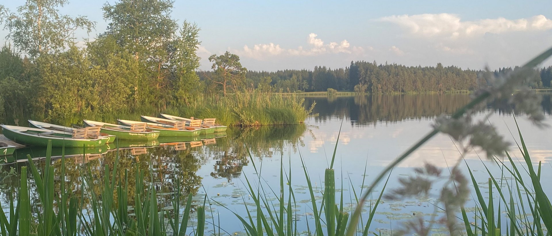 Der Elbsee-Rundweg Boote am ruhigen Seeufer mit Bäumen und klarem Himmel
