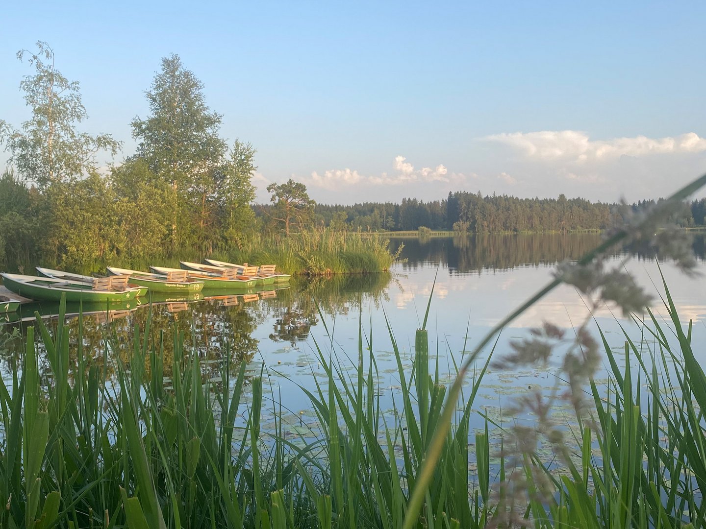 Der Elbsee-Rundweg Der Elbsee-Rundweg
