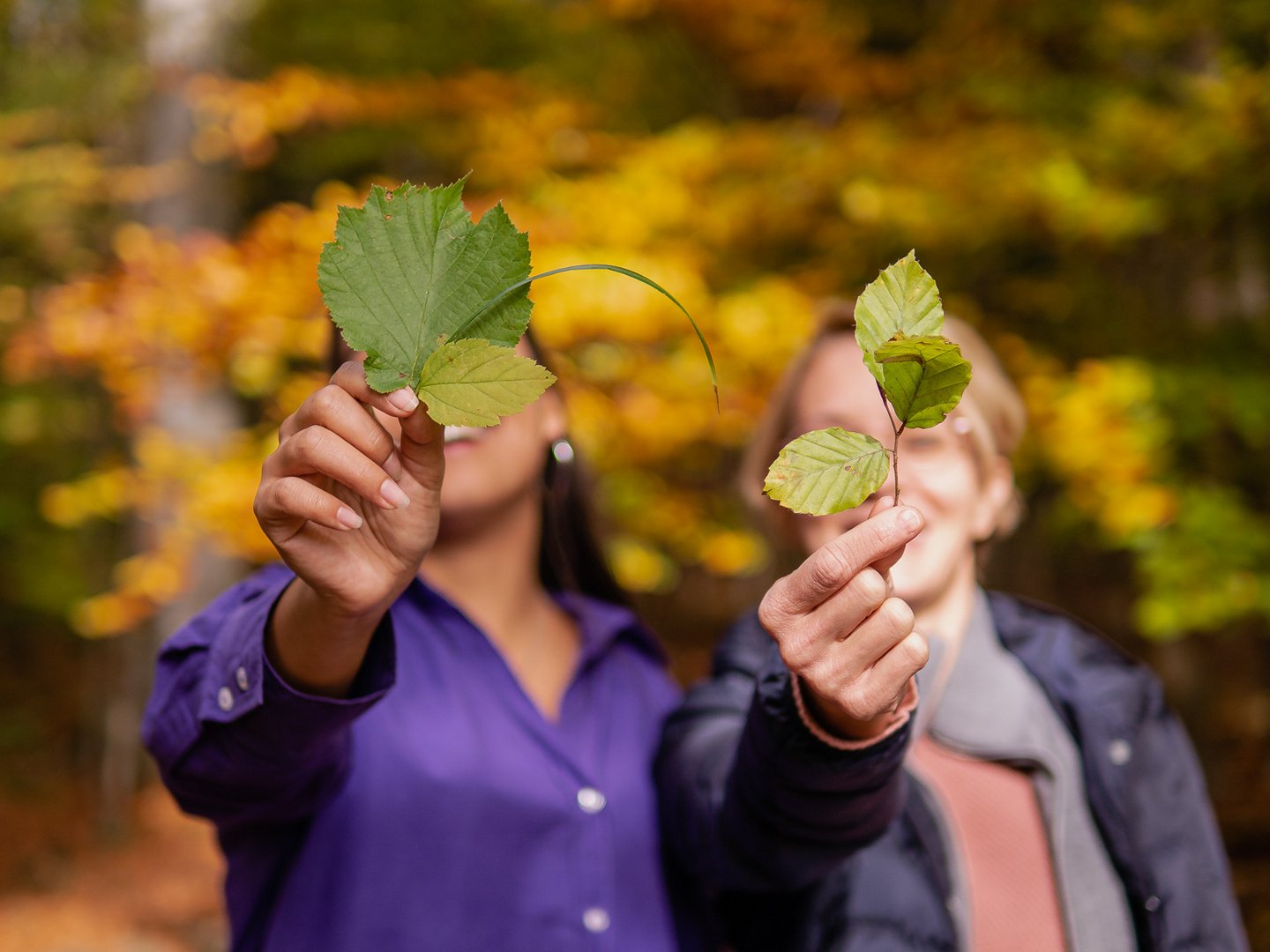 Hotel Das Weitblick Allgäu | Glücksmomente erleben Hotel Das Weitblick Allgäu | Glücksmomente erleben