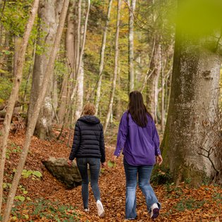 Waldbaden in Bayern Waldbaden in Bayern