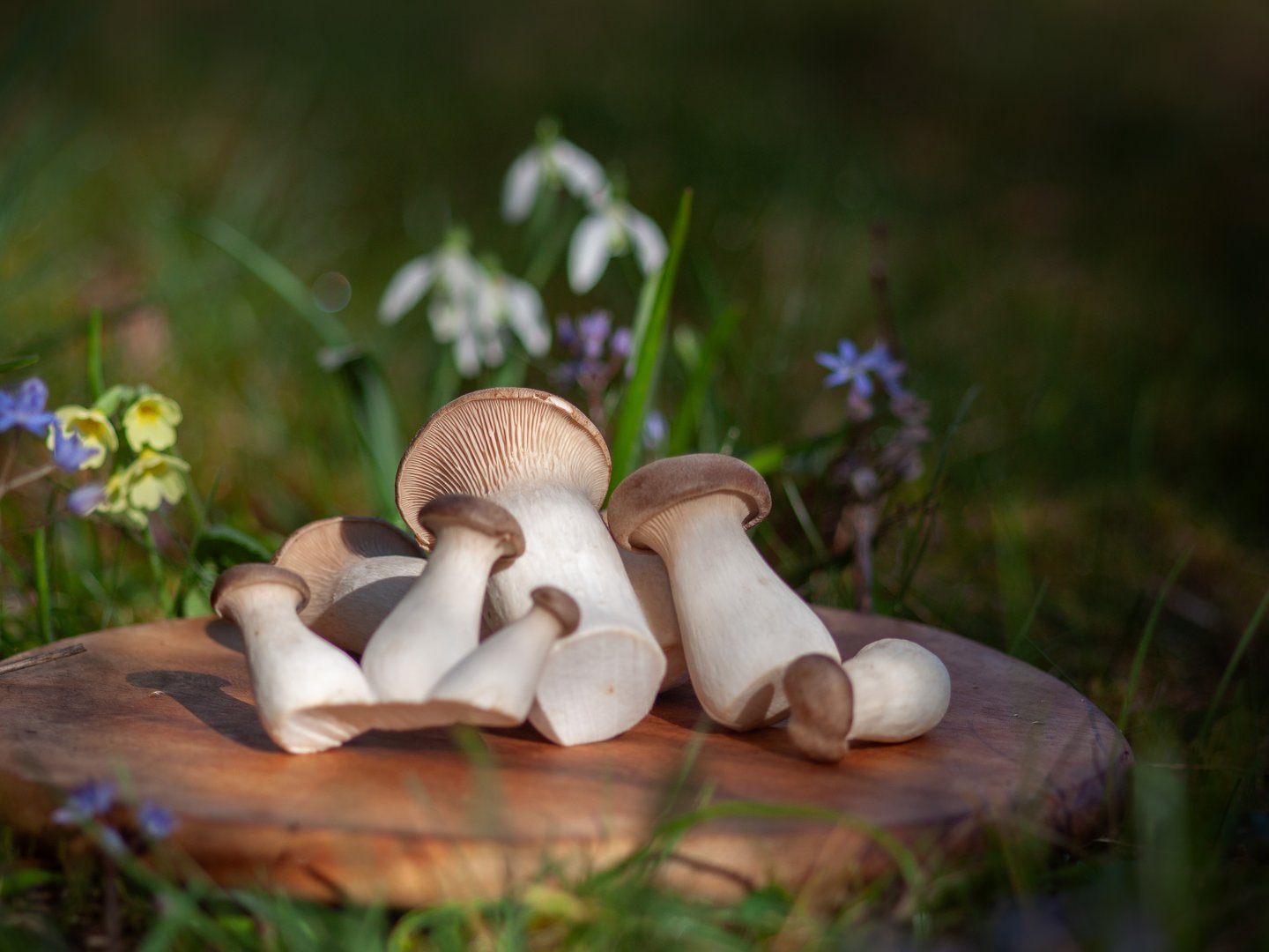 Hotel Das Weitblick Allgäu | Unsere regionalen Lieferanten Hotel Das Weitblick Allgäu | Unsere regionalen Lieferanten