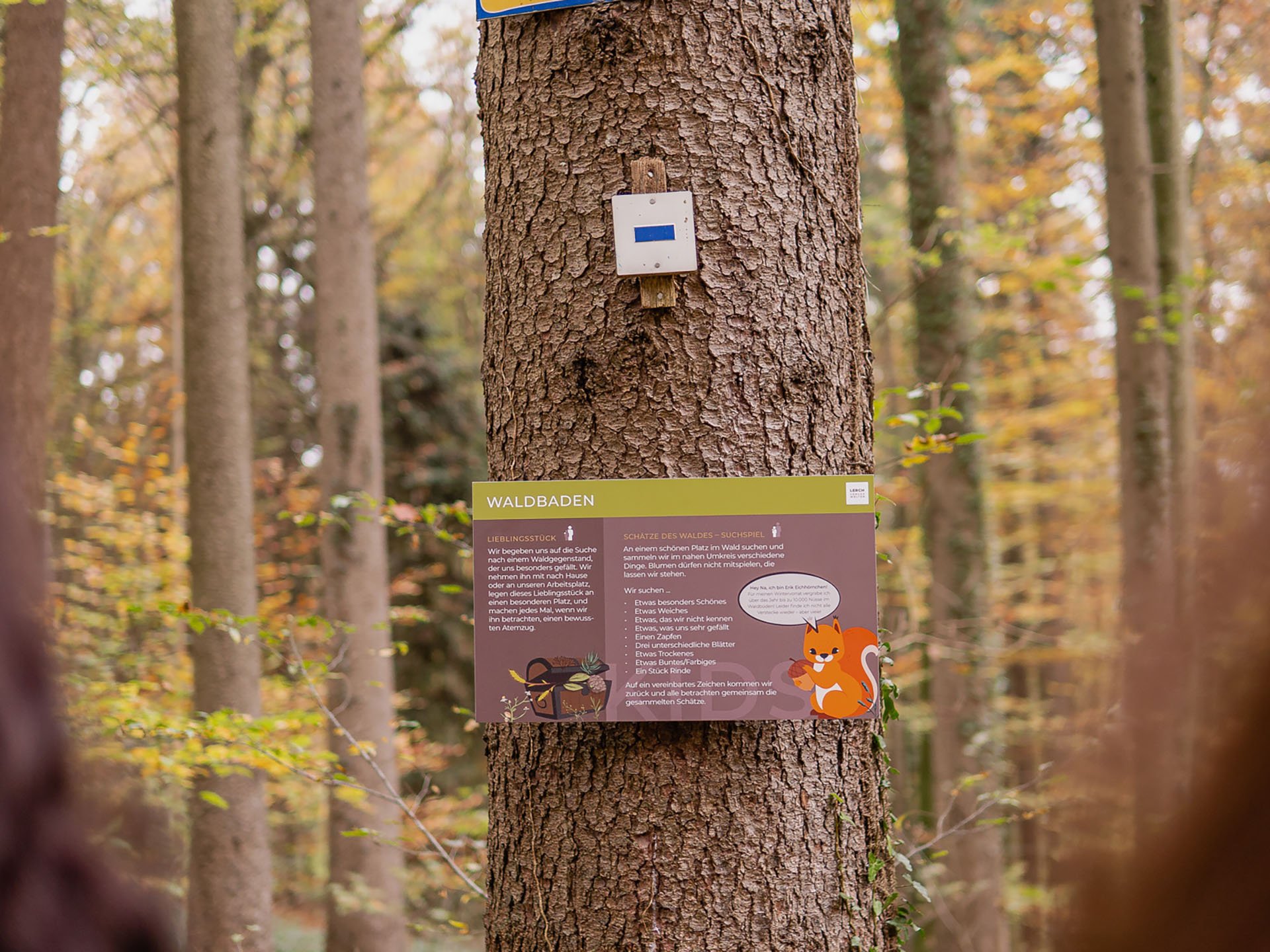 Teambildung & Gruppenevents im Allgäu Informationsschild mit Eichhörnchenillustration an Baum im herbstlichen Wald