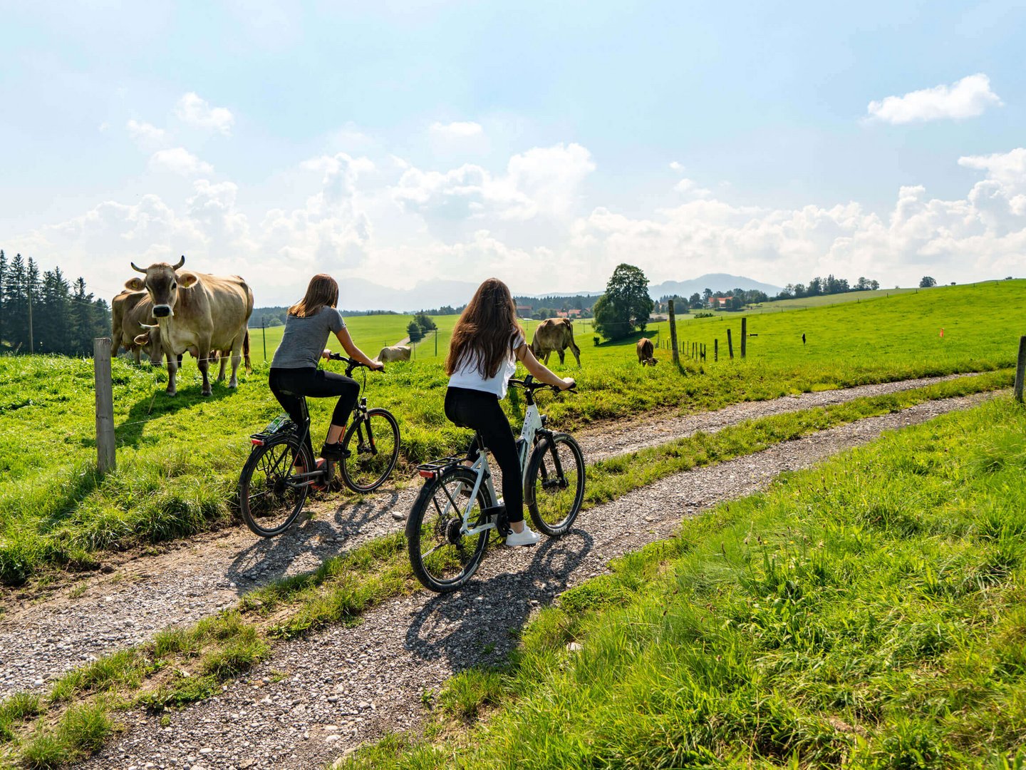 Hotel Das Weitblick Allgäu | Sommerurlaub Hotel Das Weitblick Allgäu | Sommerurlaub