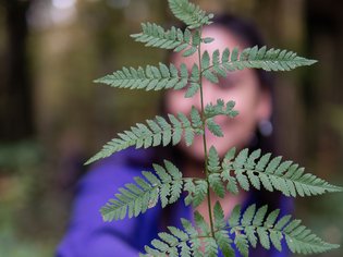 Teambildung & Gruppenevents im Allgäu Teambildung & Gruppenevents im Allgäu