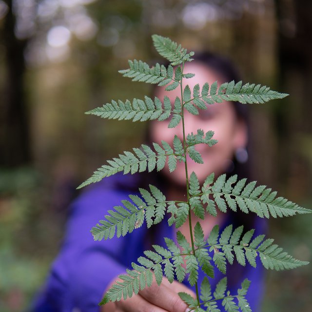 Hotel Das Weitblick Allgäu | Glücksmomente erleben Hotel Das Weitblick Allgäu | Glücksmomente erleben