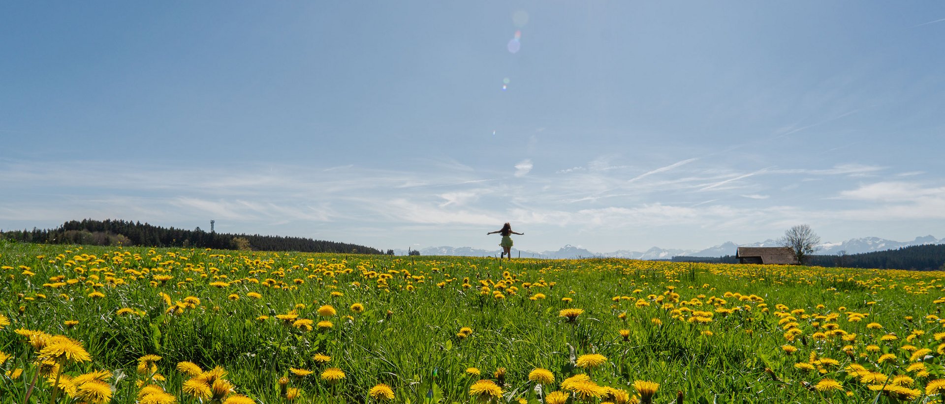 Autofrei in Das Weitblick Allgäu reisen Frau auf blühender Wiese mit gelben Blumen unter blauem Himmel