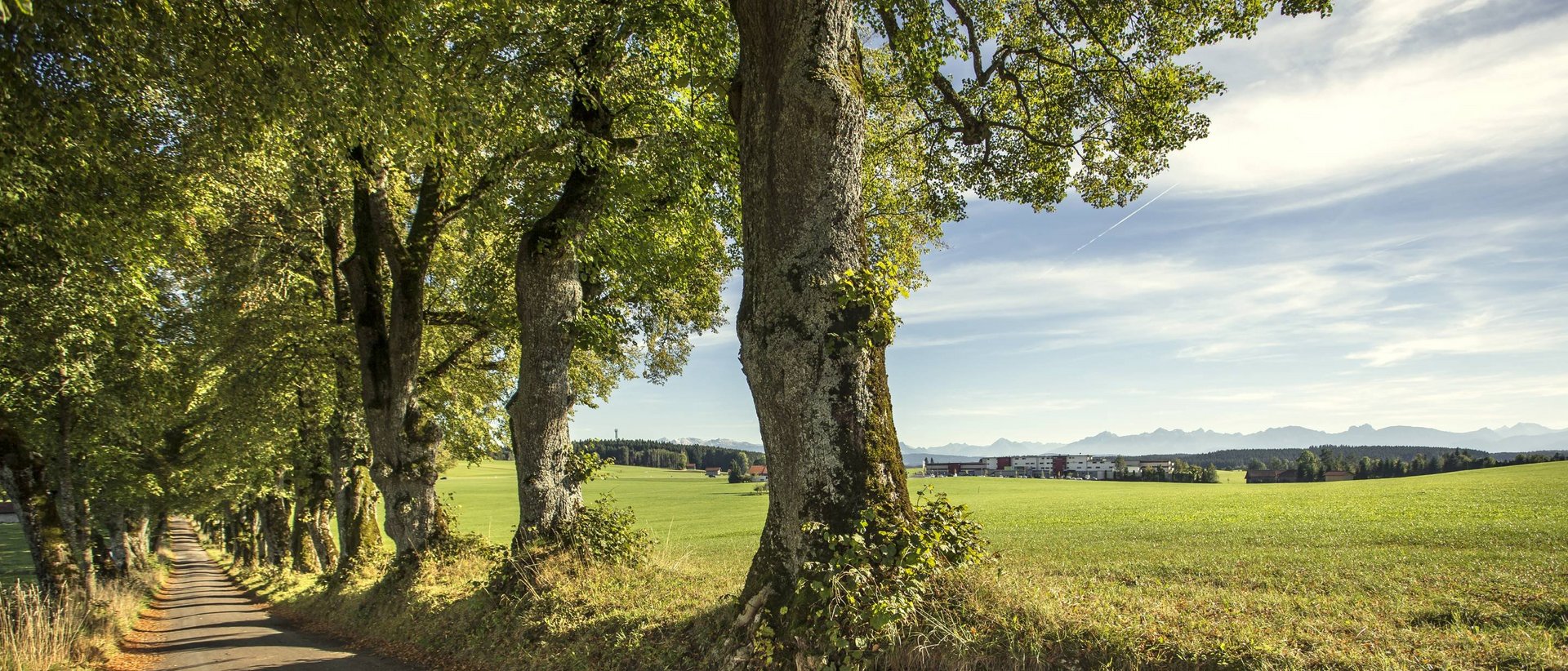 Hotel Das Weitblick Allgäu | Unsere Ausflugstipps