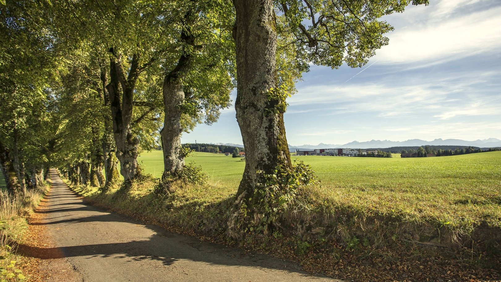 Hotel Das Weitblick Allgäu | Wechselndes Aktivprogramm Hotel Das Weitblick Allgäu | Wechselndes Aktivprogramm