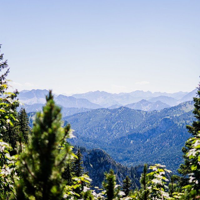 Autofrei in Das Weitblick Allgäu reisen Blick auf bewaldete Berge und klare blaue Himmel am Tag