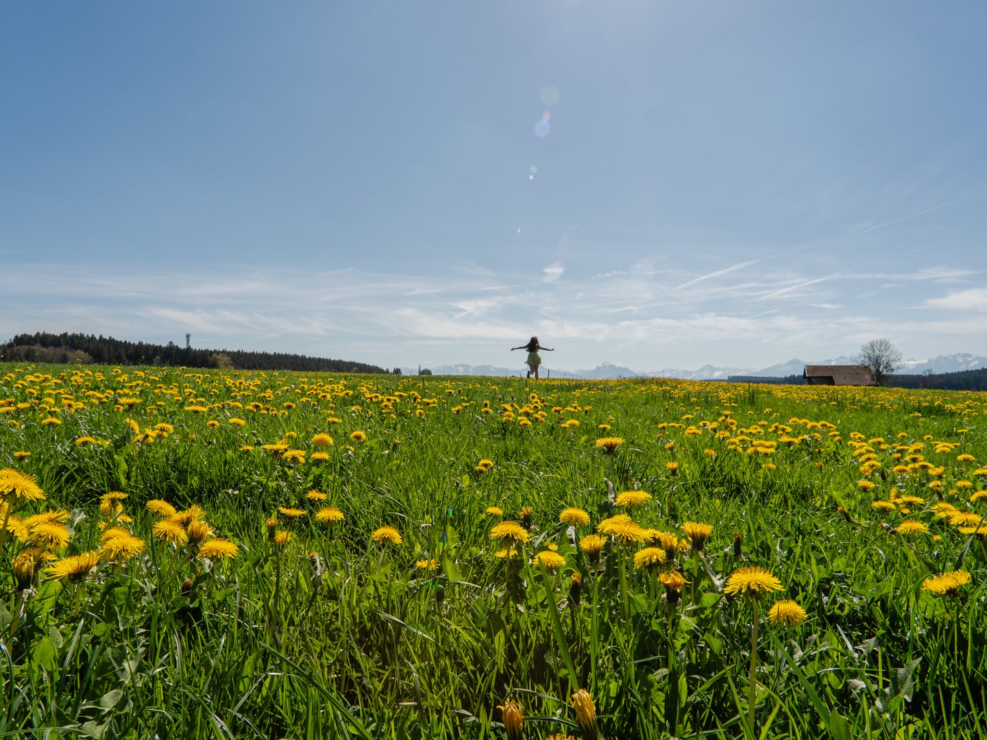 Hotel Das Weitblick Allgäu | Glücksmomente erleben Hotel Das Weitblick Allgäu | Glücksmomente erleben