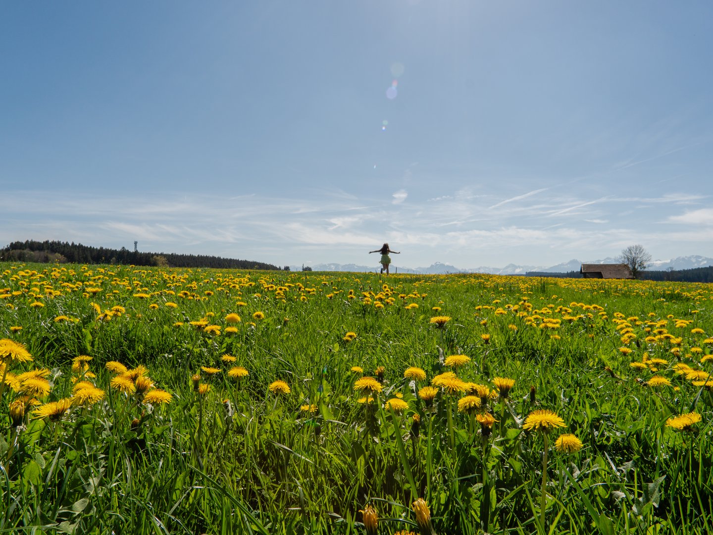 Hotel Das Weitblick Allgäu | Glücksmomente erleben Hotel Das Weitblick Allgäu | Glücksmomente erleben