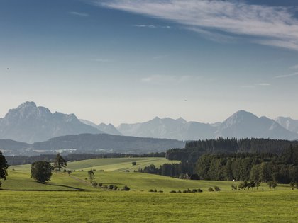 Lerch Businesswelten - Inspirationen an einem Tag Grüne Wiesen mit Bäumen und Bergen im Hintergrund unter blauem Himmel