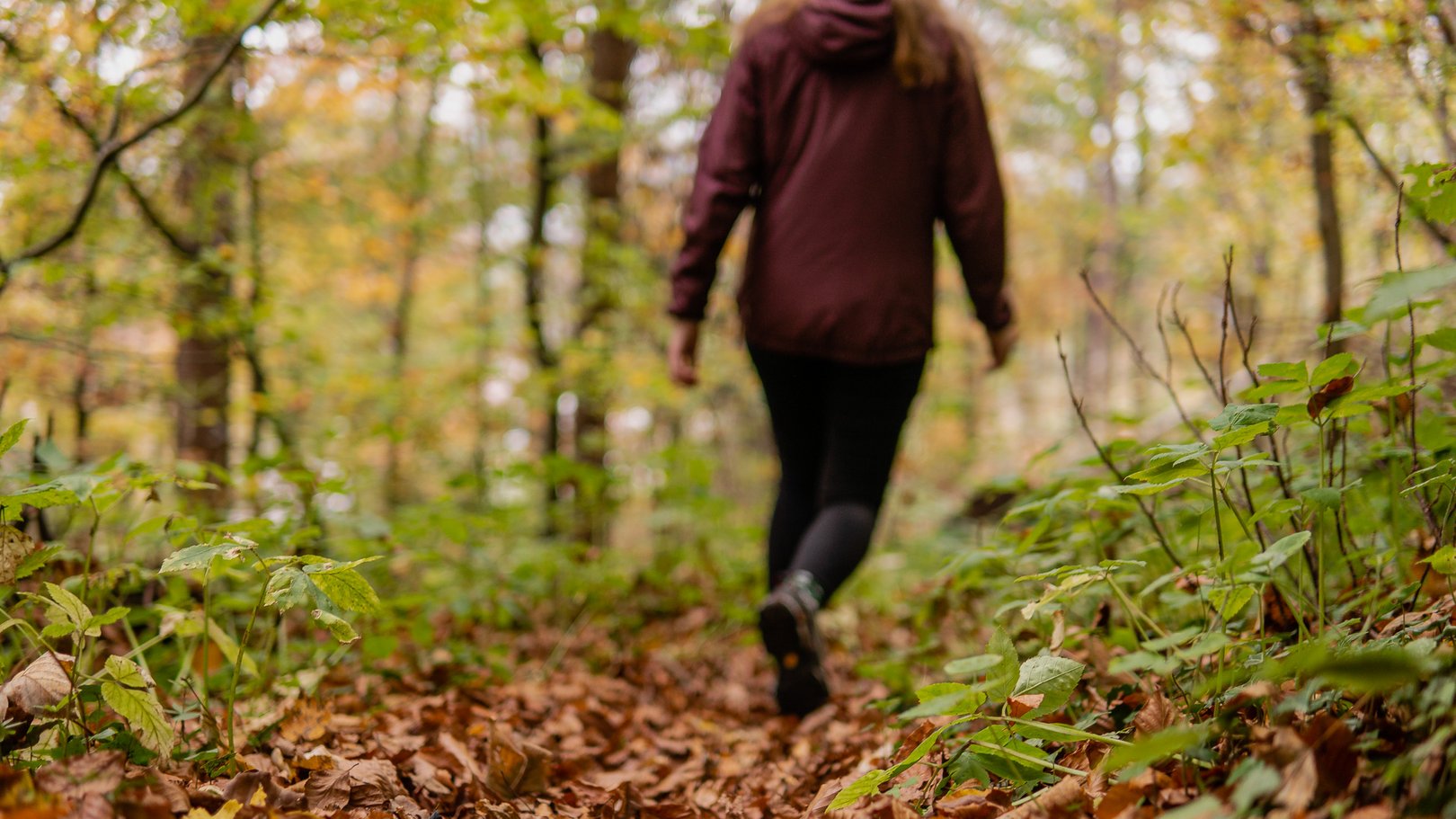 Waldbaden in Bayern Waldbaden in Bayern