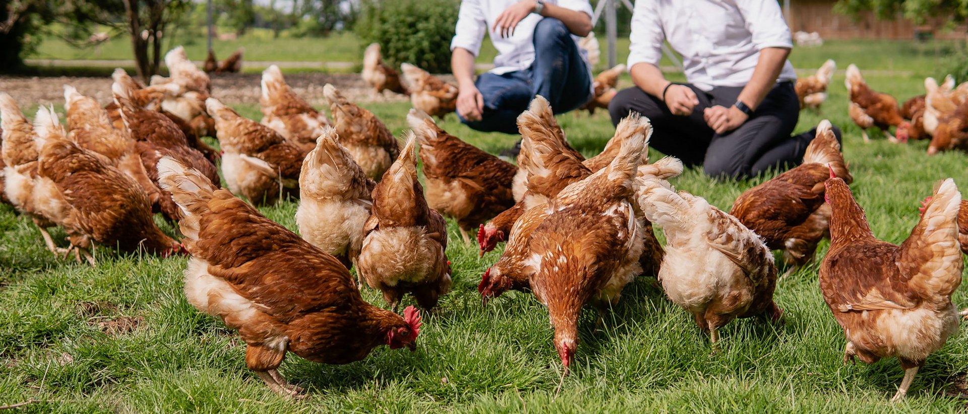 Hotel Das Weitblick Allgäu | Unsere regionalen Lieferanten Hotel Das Weitblick Allgäu | Unsere regionalen Lieferanten