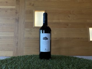 Weinkarte Das Weitblick Allgäu Flasche Carrubo Primitivo di Manduria DOC auf Kunstrasen vor einer Holzwand