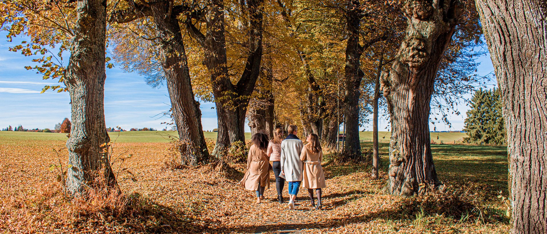 4662 Vier Personen spazieren auf einem herbstlichen Baumweg mit buntem Laub