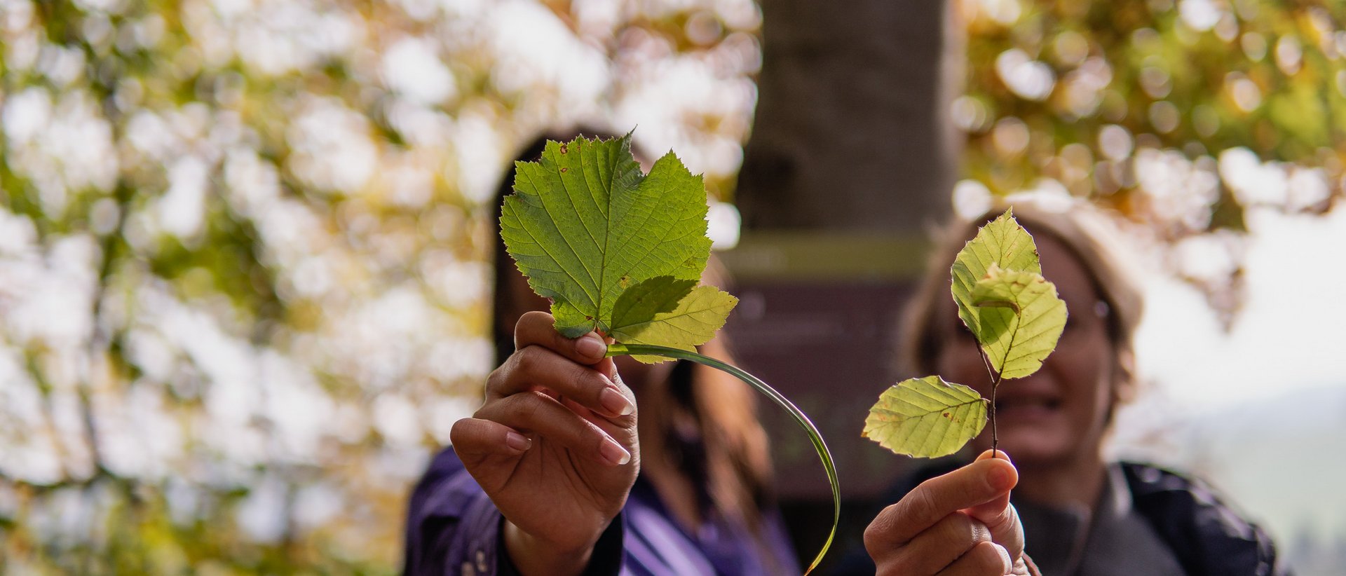 Waldbaden in Bayern Waldbaden in Bayern