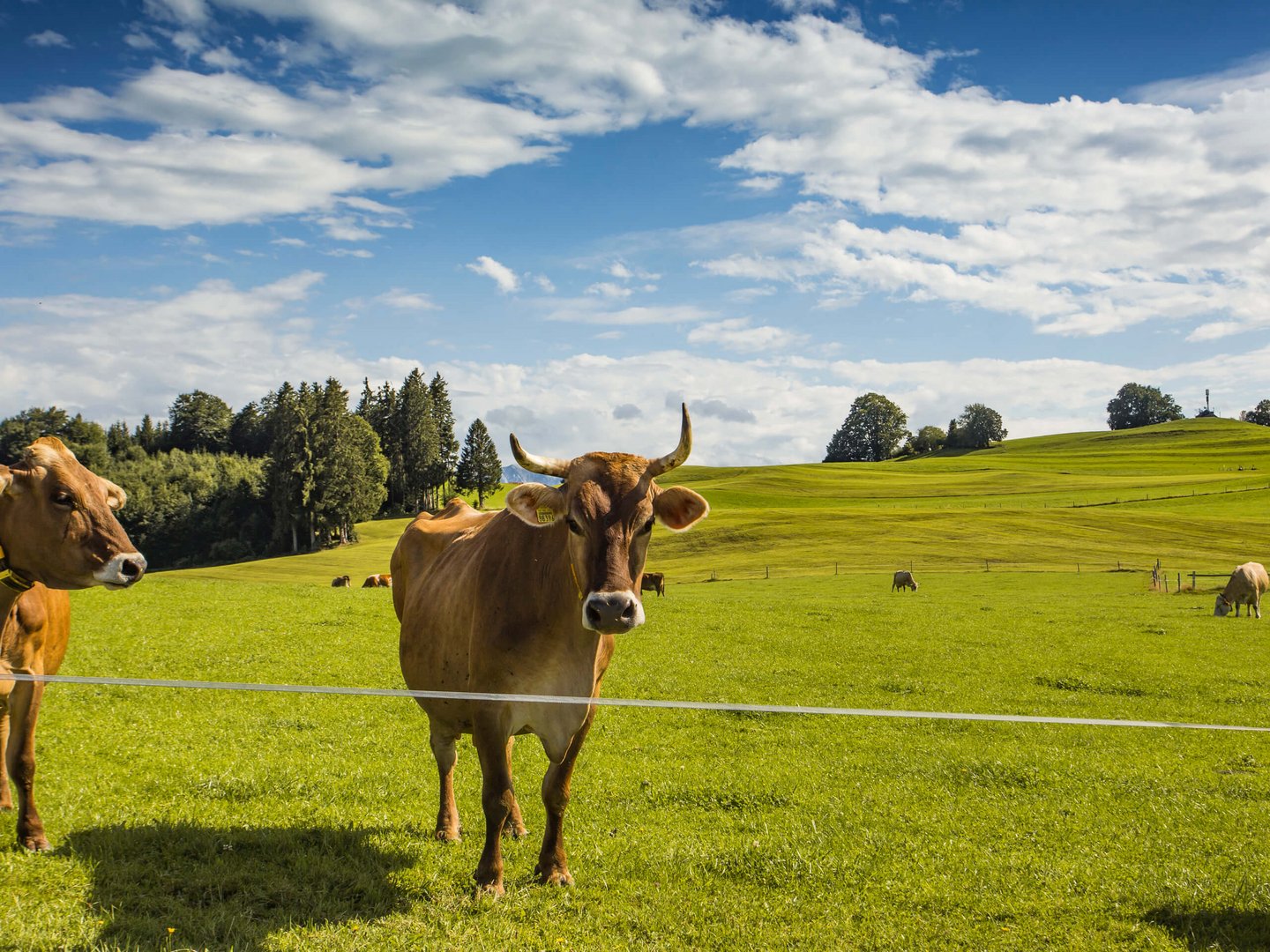 Hotel Das Weitblick Allgäu | Unsere Ausflugstipps Hotel Das Weitblick Allgäu | Unsere Ausflugstipps