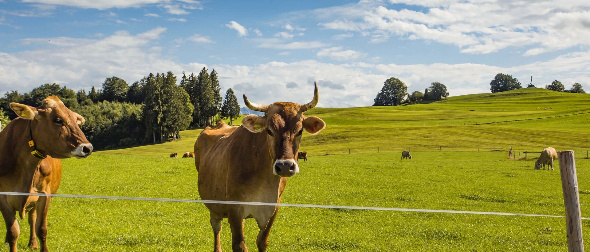 Hotel Das Weitblick Allgäu | Unsere Ausflugstipps Hotel Das Weitblick Allgäu | Unsere Ausflugstipps