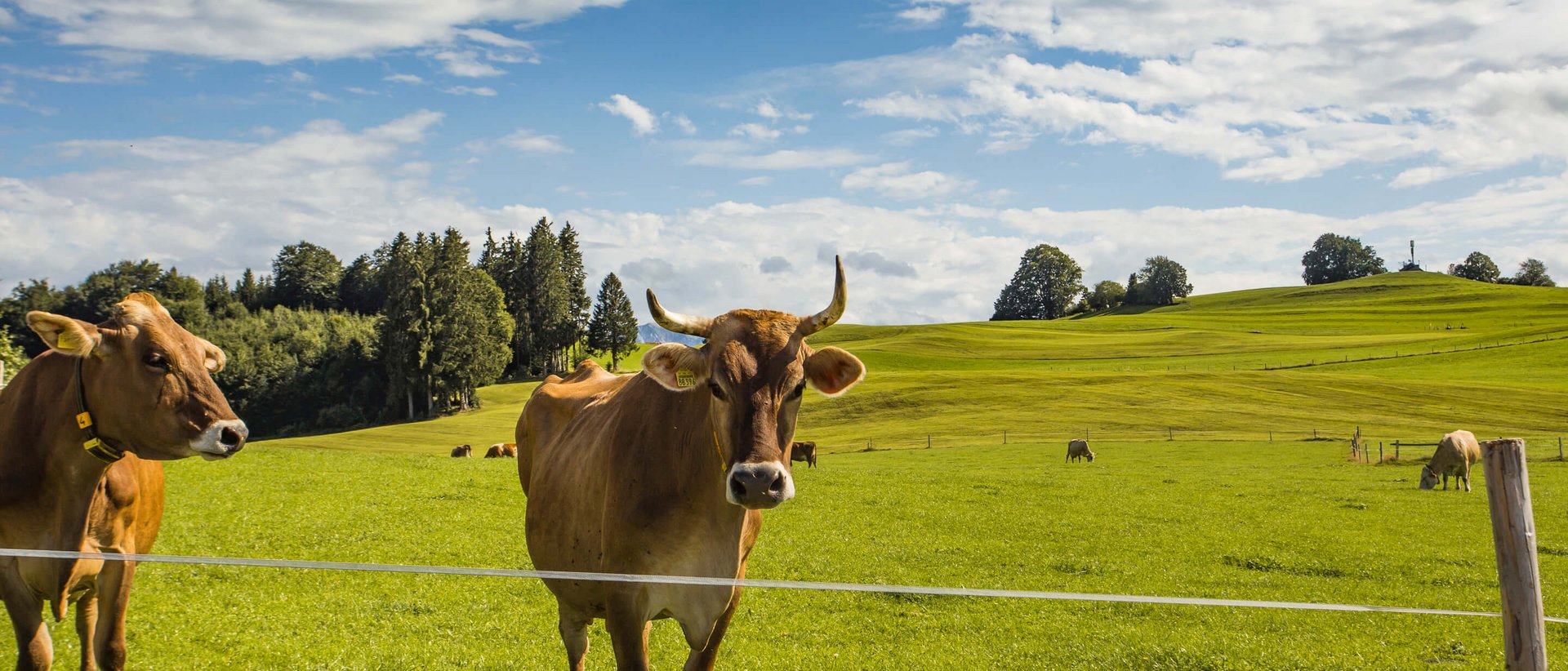 Die Grundlagen unseres Handelns