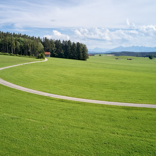 Autofrei in Das Weitblick Allgäu reisen Geschwungener Weg durch grüne Wiesen mit Wald und Bergen im Hintergrund