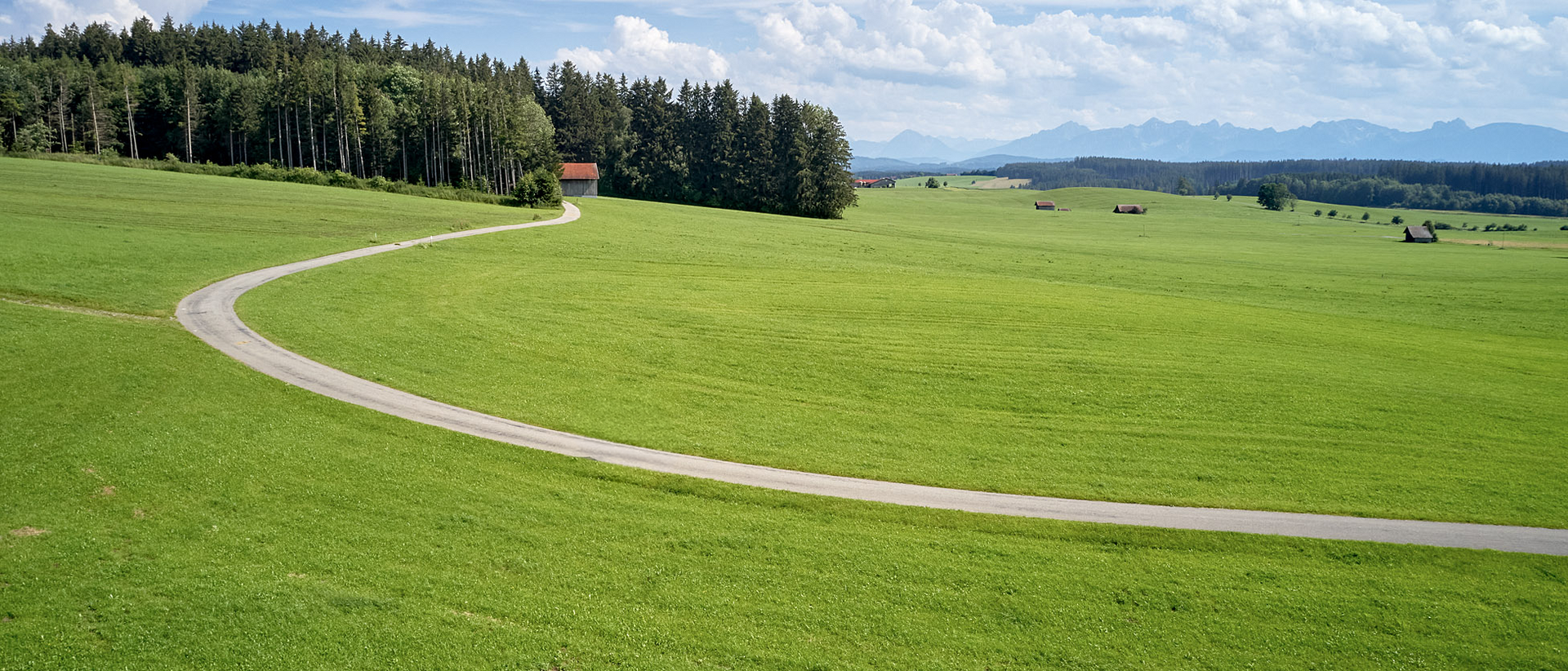 Unser Natur- & Kulturtipp: Zu Fuß zum Engellandeplatz Geschwungener Weg durch grüne Wiesen mit Wald und Bergen im Hintergrund