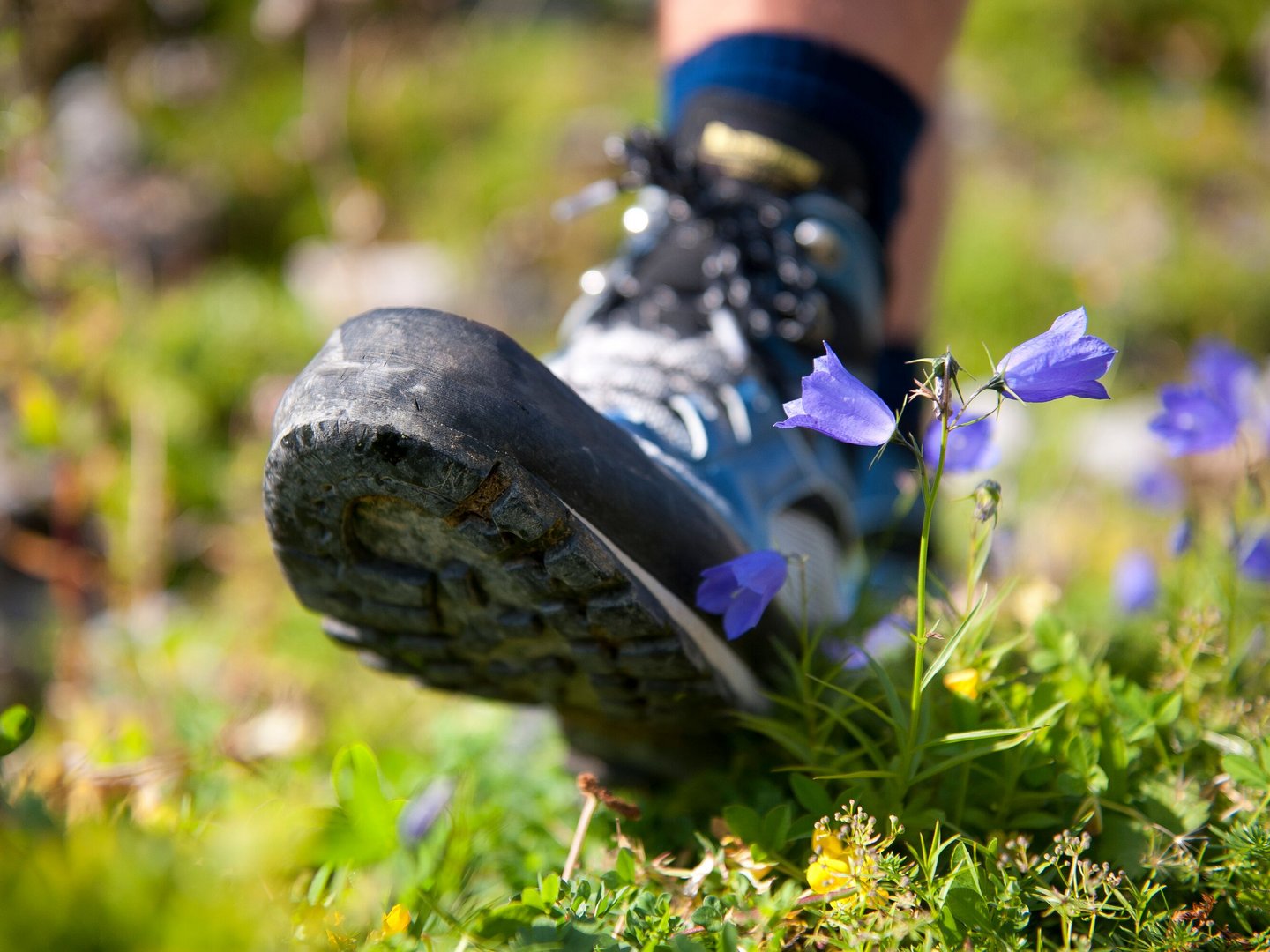 Der Elbsee-Rundweg Der Elbsee-Rundweg