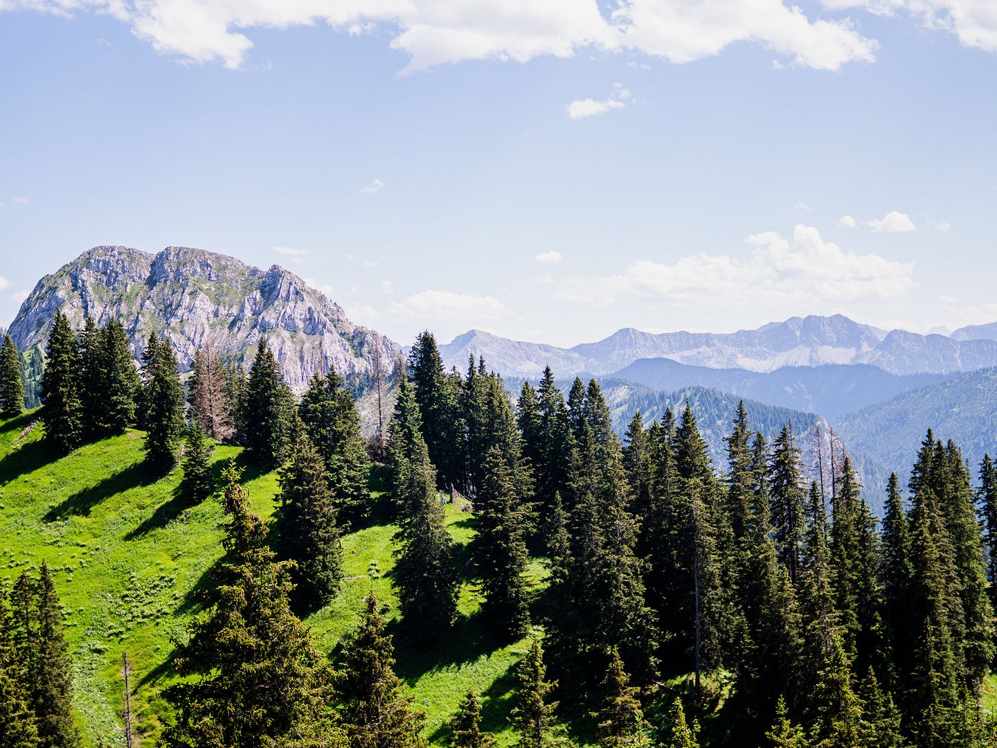 Bergerlebnis an der Tegelbergbahn Grüne Almwiese mit Tannen und Bergpanorama unter blauem Himmel